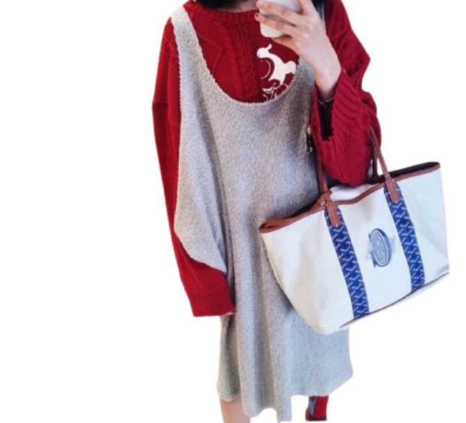 Goyard Belharra Reversible Tote