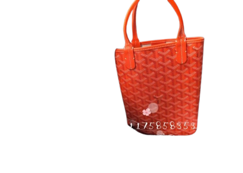 Goyard Anjou Mini Reversible Tote Bag